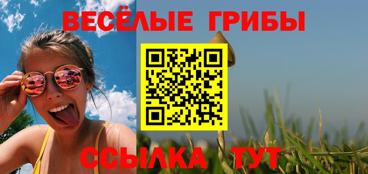 Галлюциногенные грибы мухоморы  Вход с VPN  Светлоград 